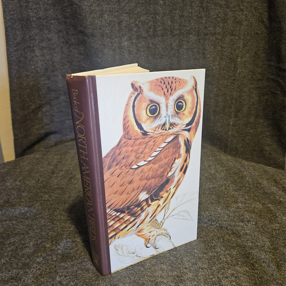 Illustrated Owl Hardcover Book - Brown & White